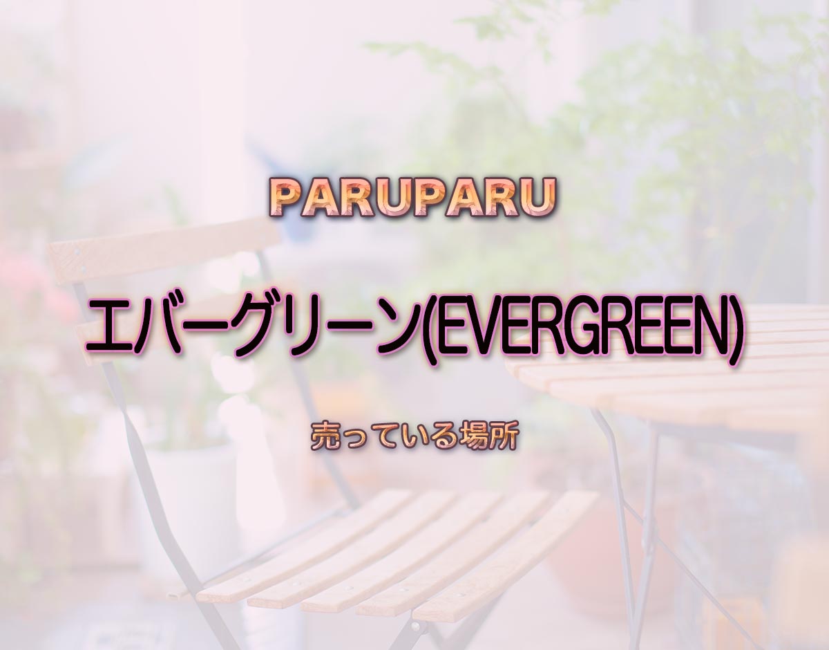 「エバーグリーン(EVERGREEN)」はどこで売ってる？