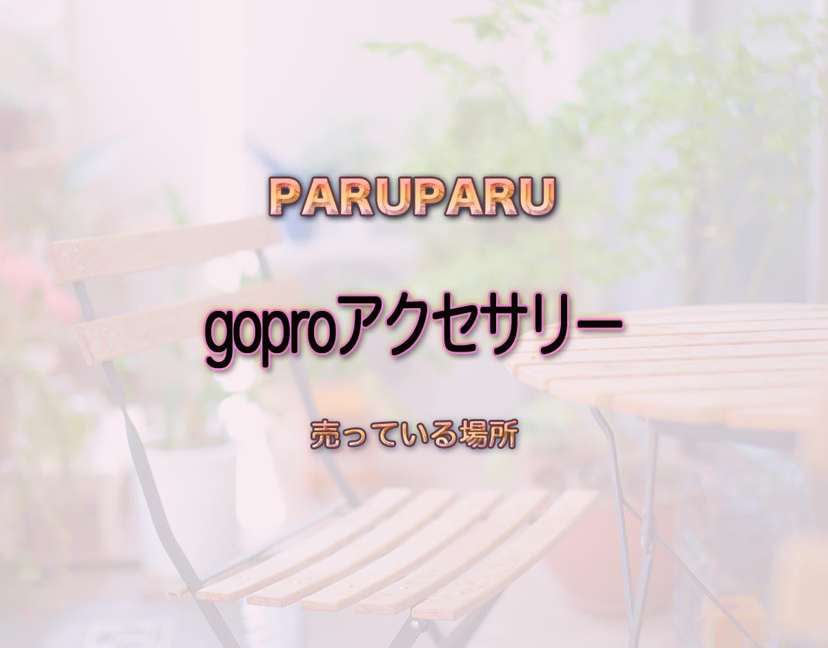 「goproアクセサリー」はどこで売ってる？